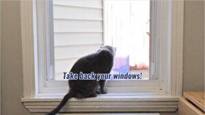 Window Air Conditioners VS Mini Split Air Conditioners